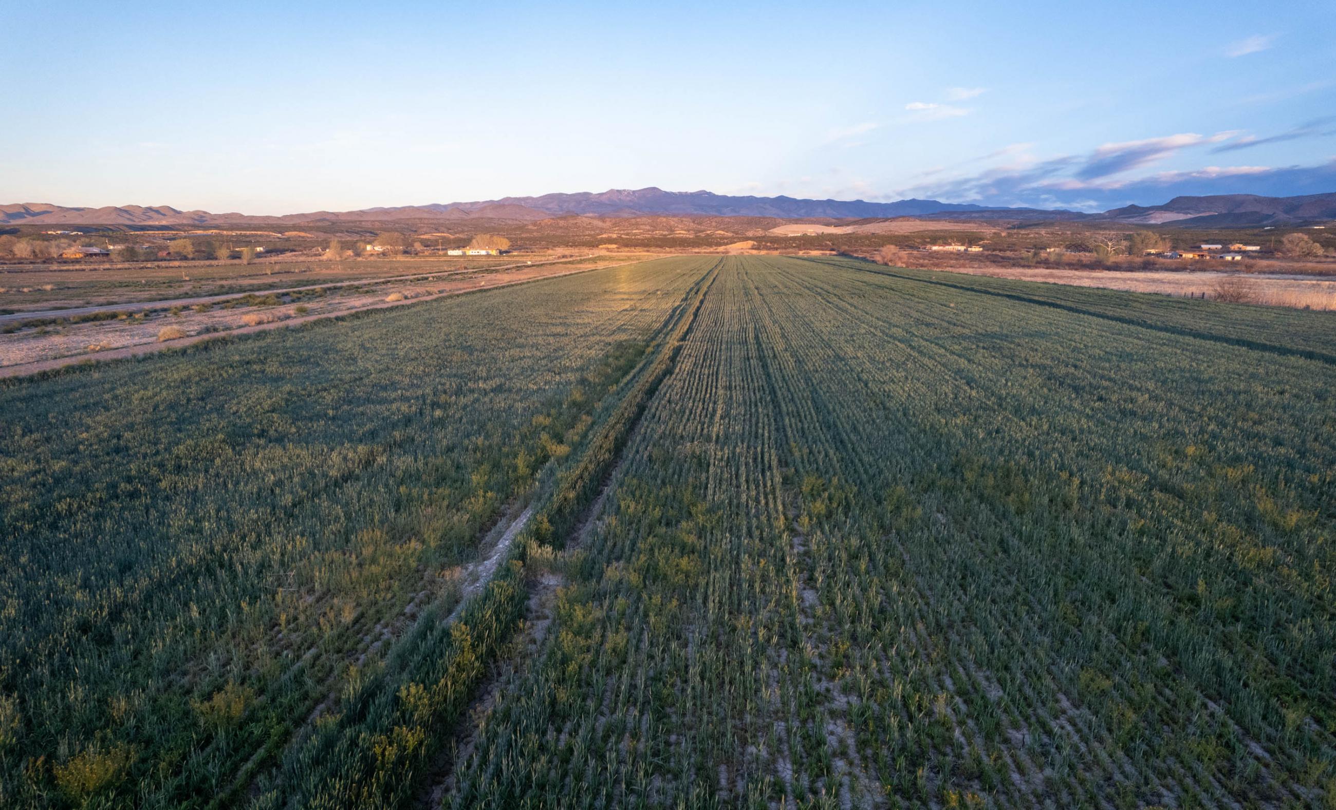 Mercer Farm Chas S. Middleton